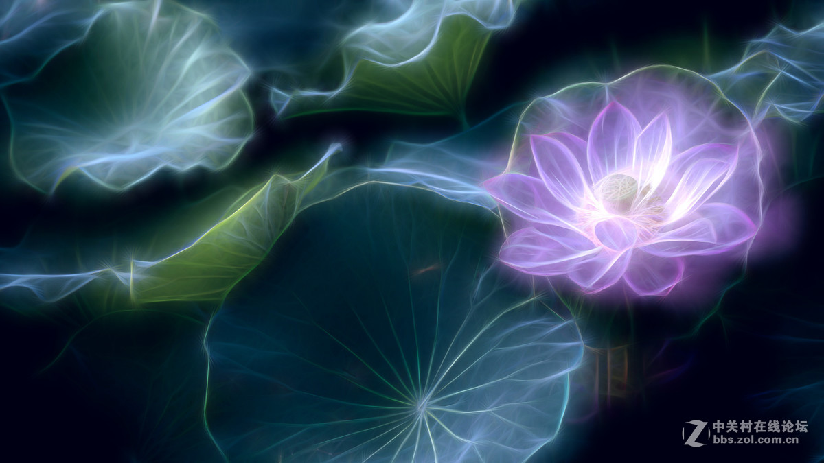 #版主坐堂# 《人文纪实星空(中国)》2016年7月优秀作品选编