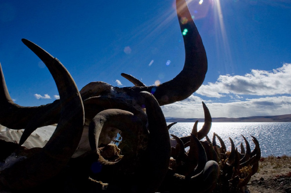 花都港龙拍摄  圣湖之母玛旁雍措（二）