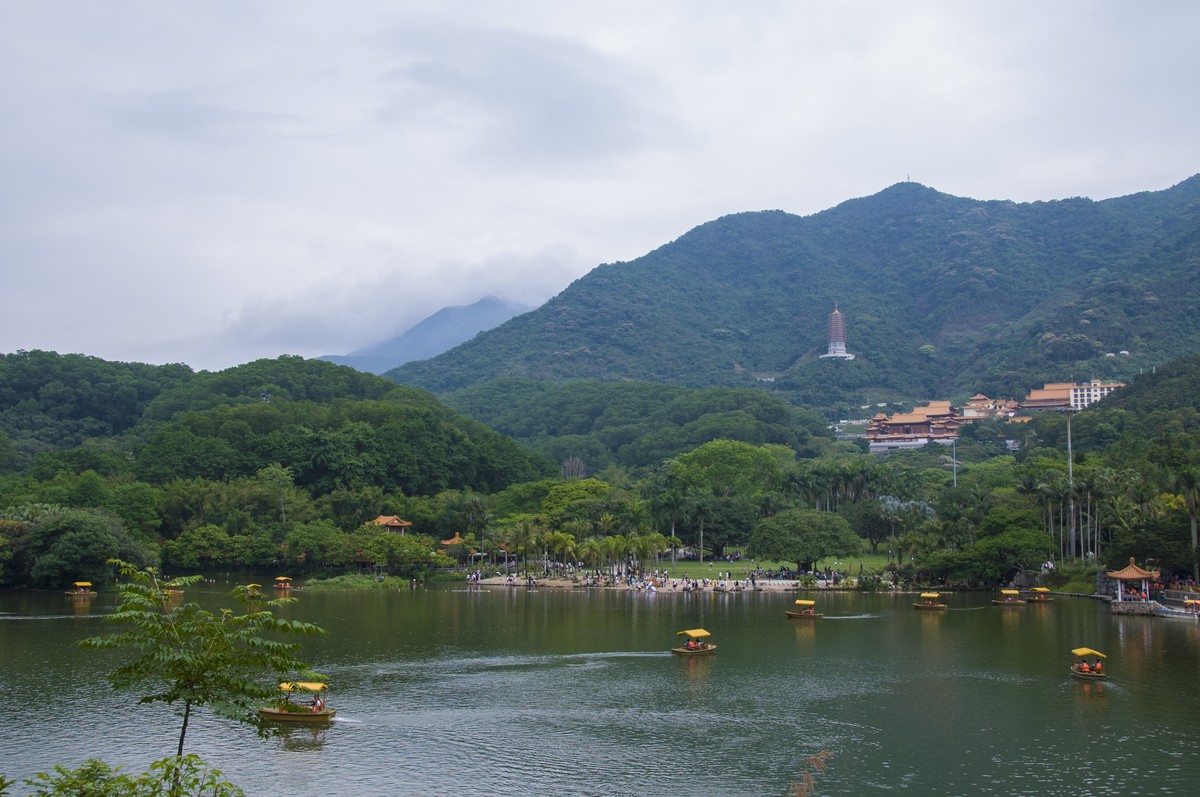 仙湖植物园随拍