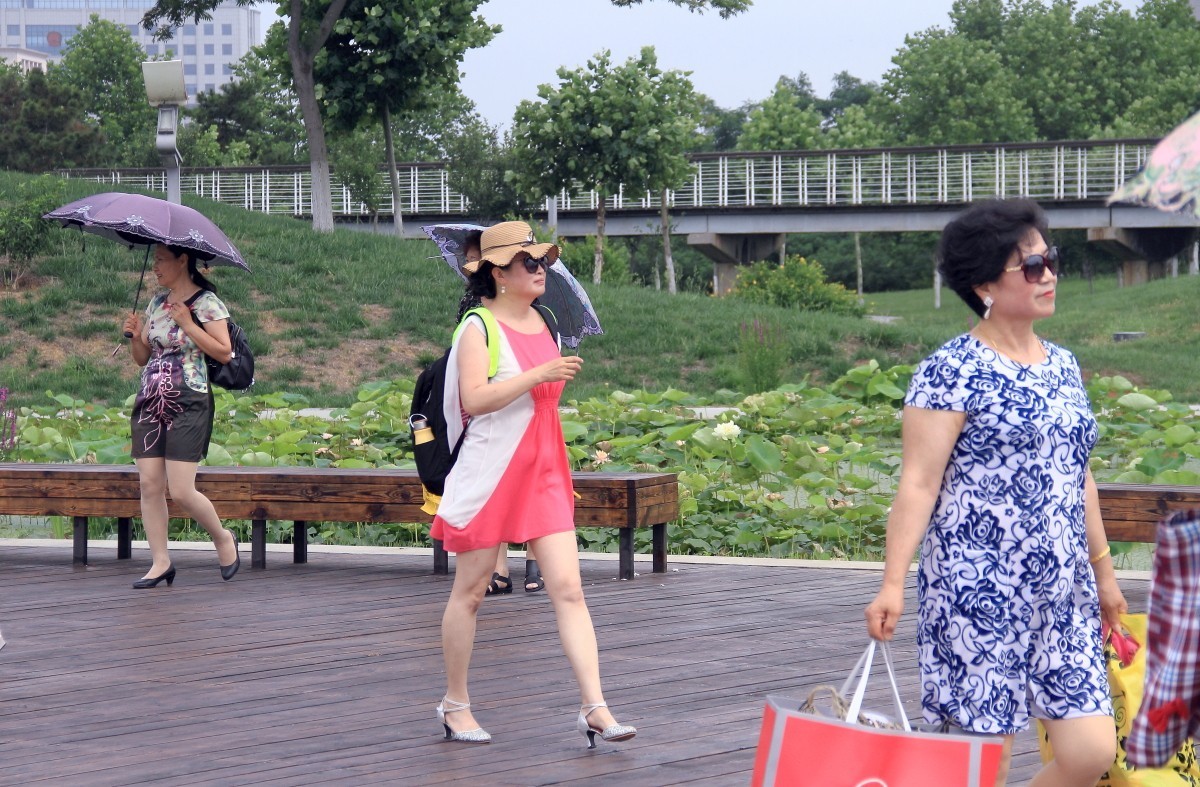 年年花开似相识，岁岁赏花人不同