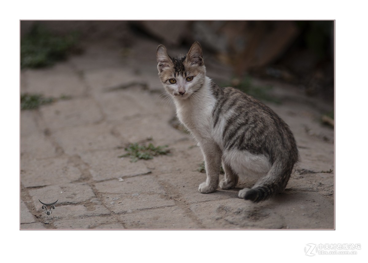 随拍---180/2.8试镜