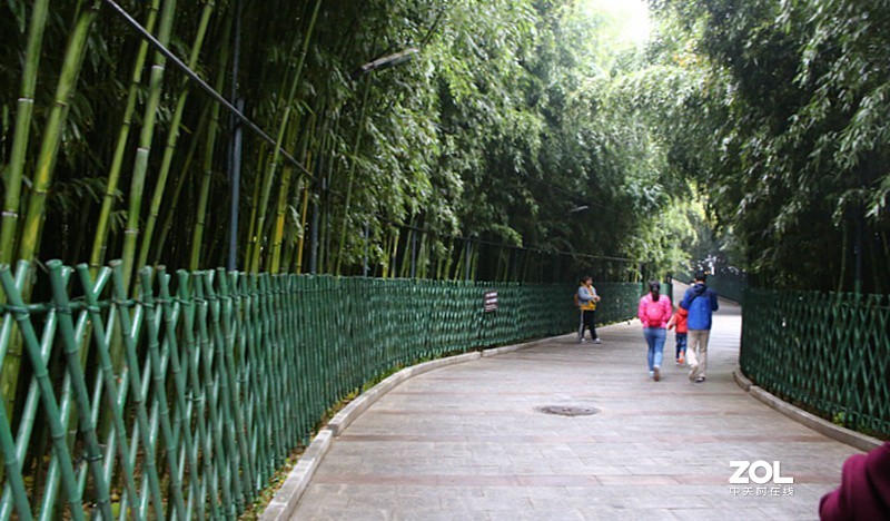 北京怀柔游：红螺寺！(7)御竹苑！