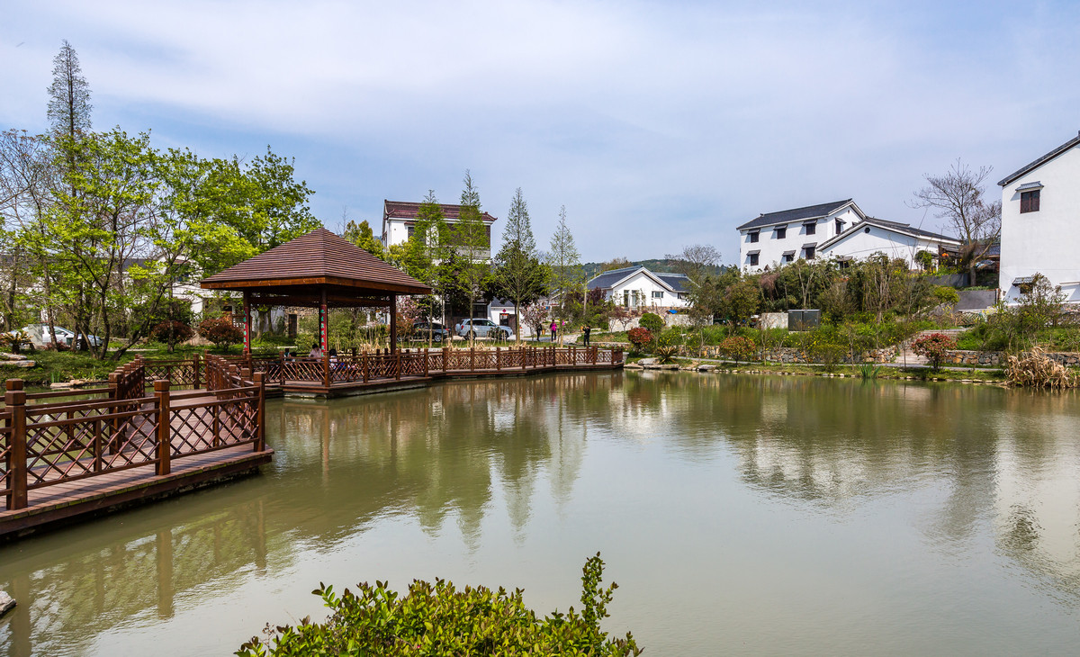 美丽乡村石塘竹海石塘村