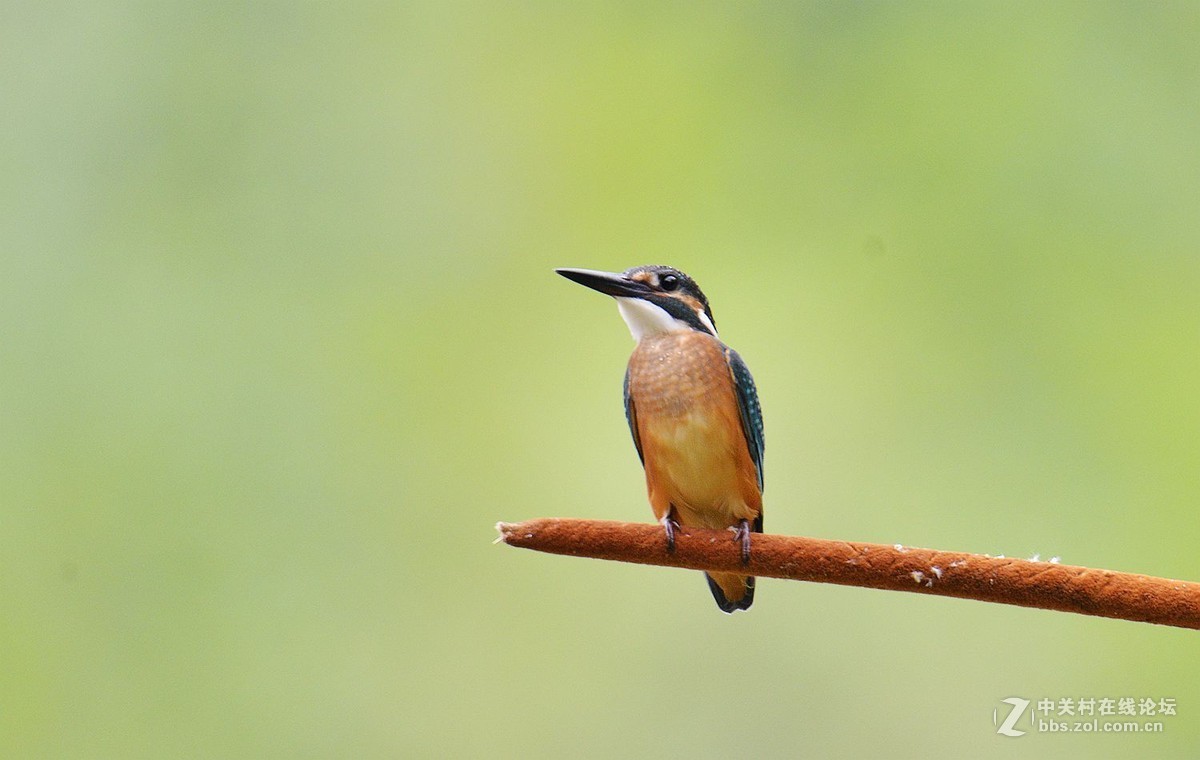 #版主坐堂#2015年8月份《承德》优秀作品选辑