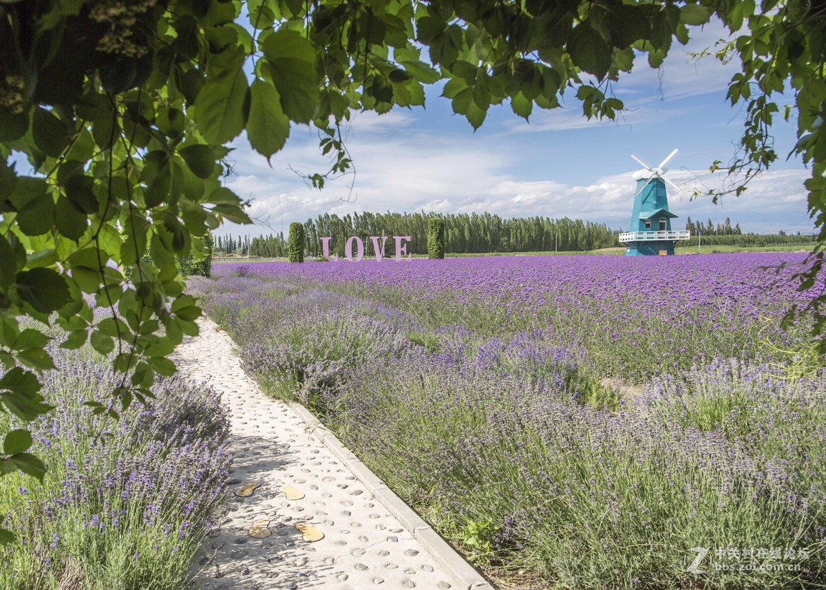 新疆风光摄影EF24mmf/1.4LUSM拍摄