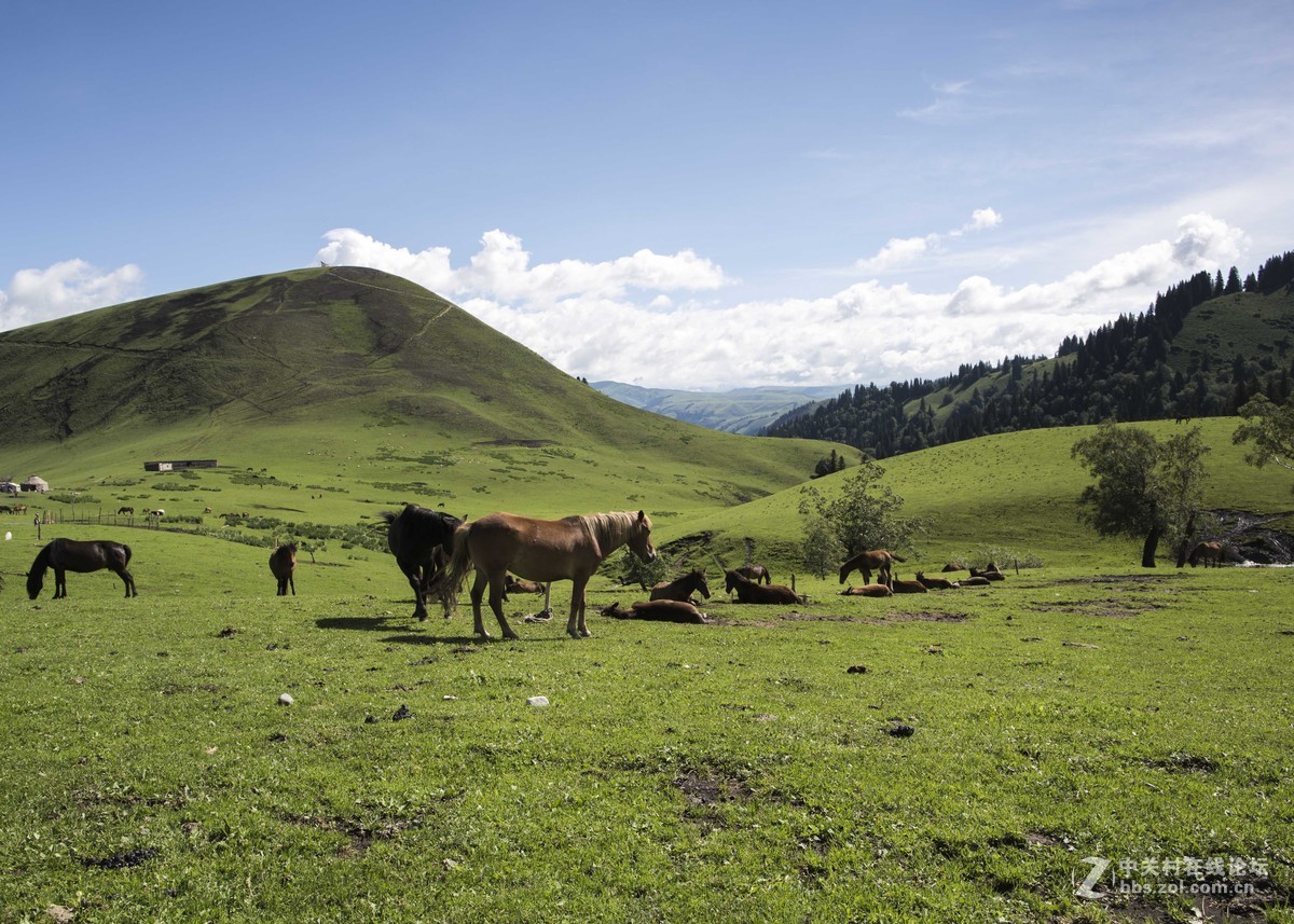 新疆风光摄影EF24mmf/1.4LUSM拍摄