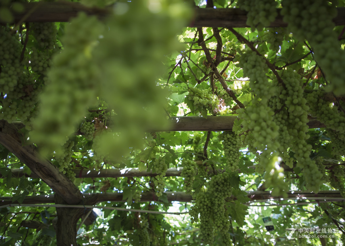 新疆风光摄影EF24mmf/1.4LUSM拍摄