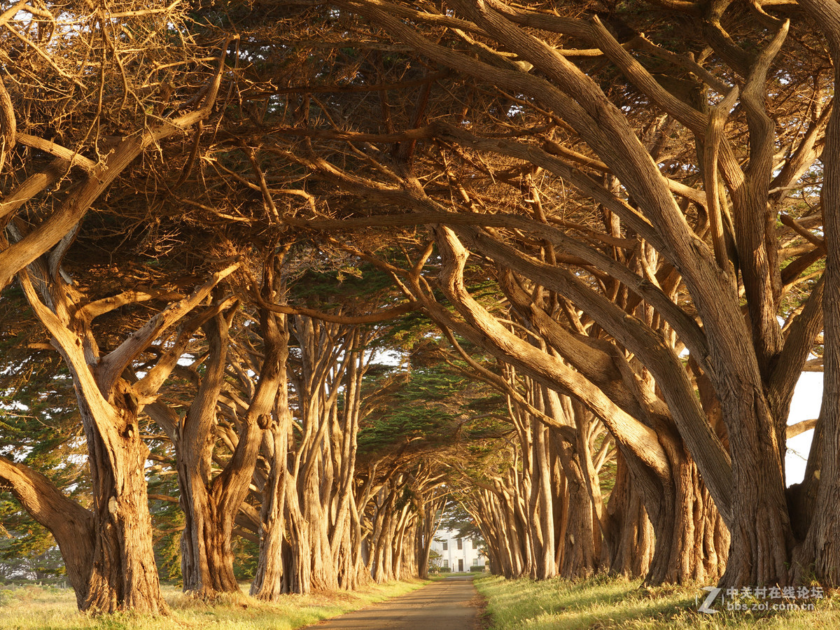 1 号公路景色 - Point Reyes