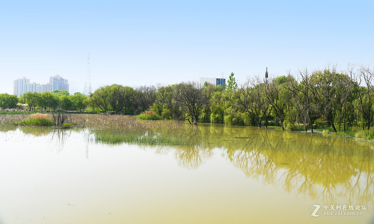 【2017】052---灞河春景