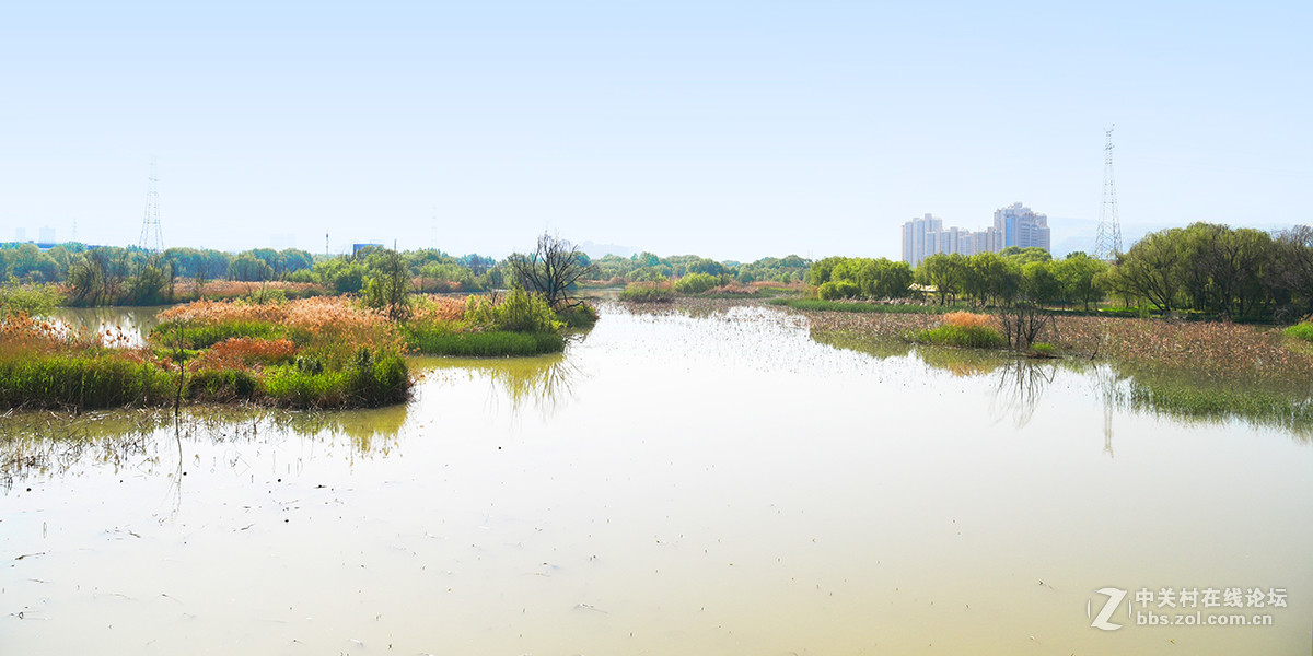 【2017】052---灞河春景