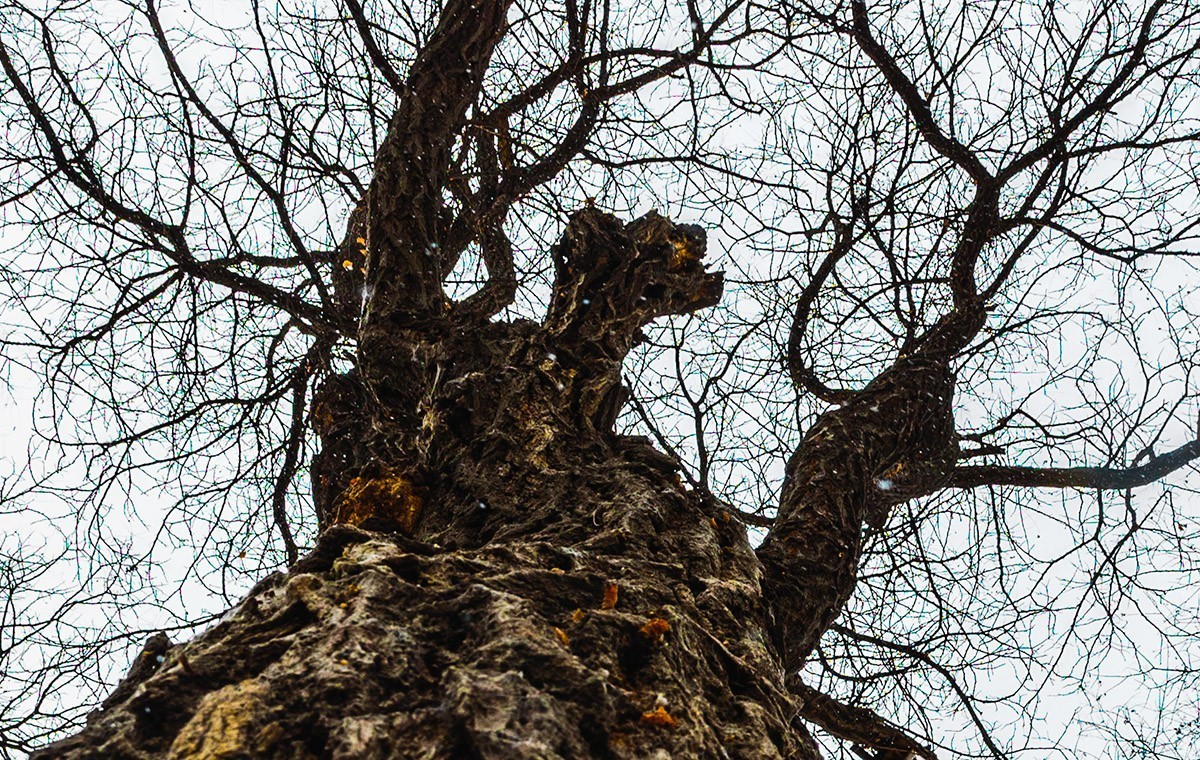 初五下雪【兰州】