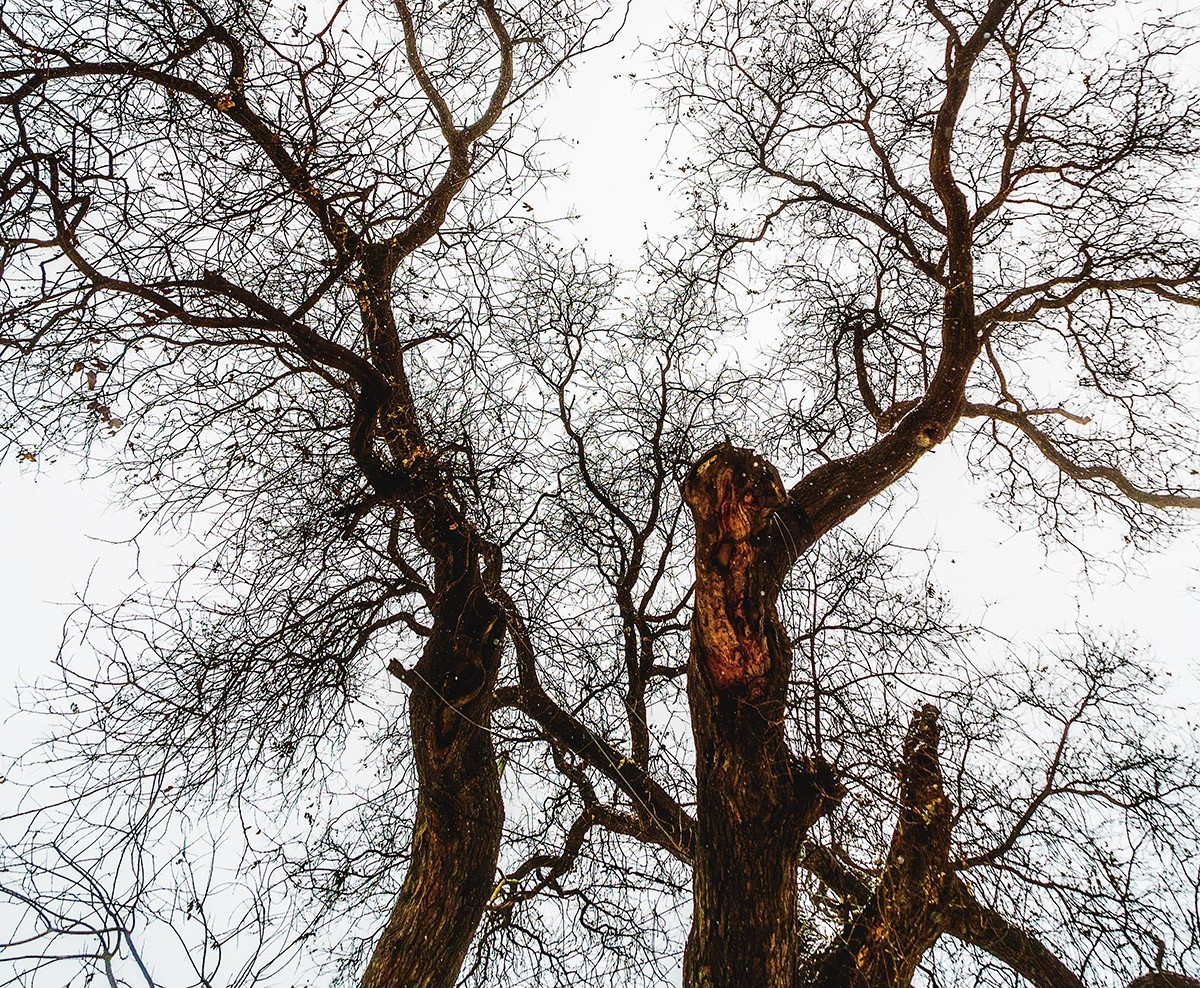 初五下雪【兰州】