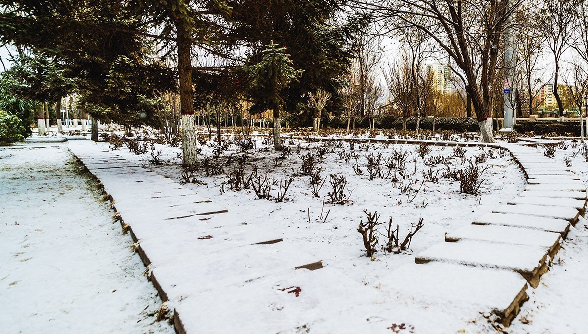 初五下雪【兰州】
