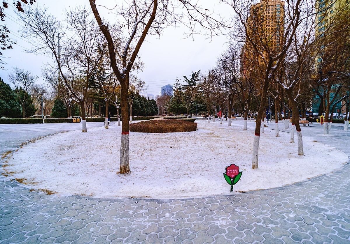 初五下雪【兰州】