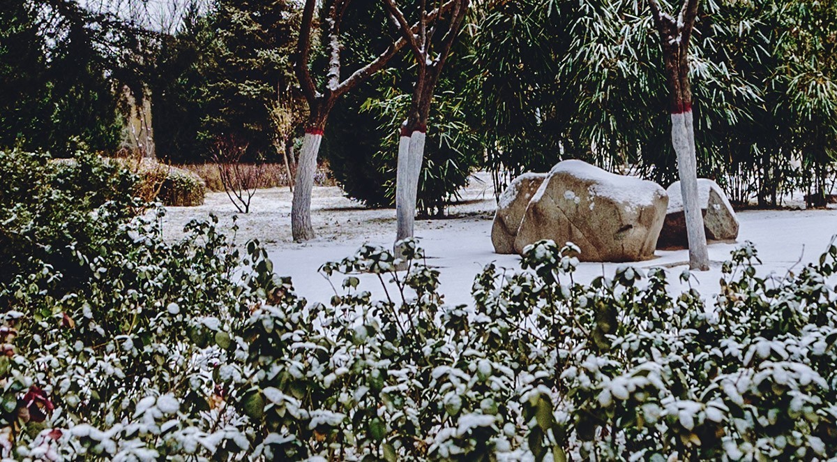初五下雪【兰州】