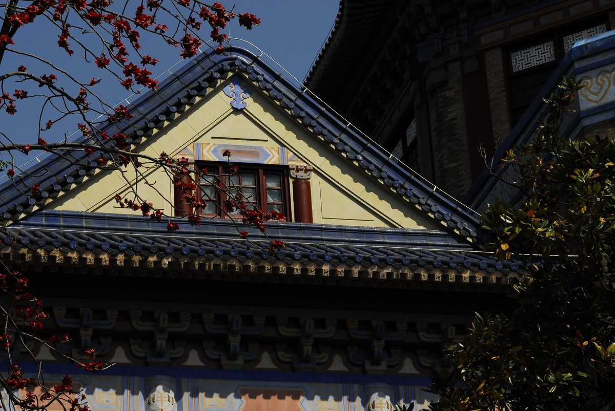 广州  光孝寺  中山纪念堂   华南植物园