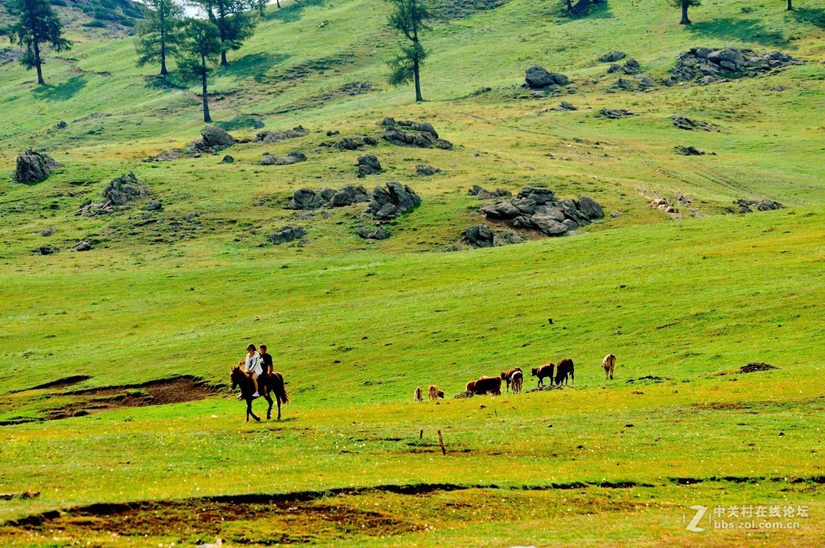 一路向西——白哈巴村