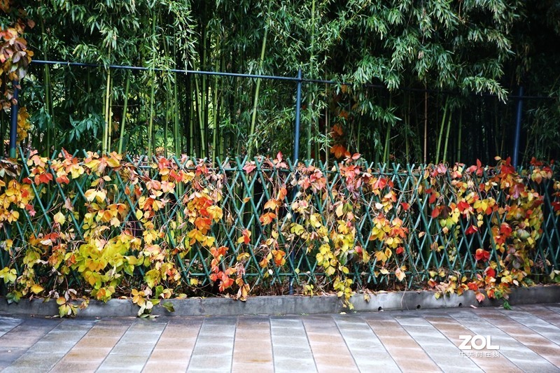 北京怀柔游：红螺寺！(7)御竹苑！