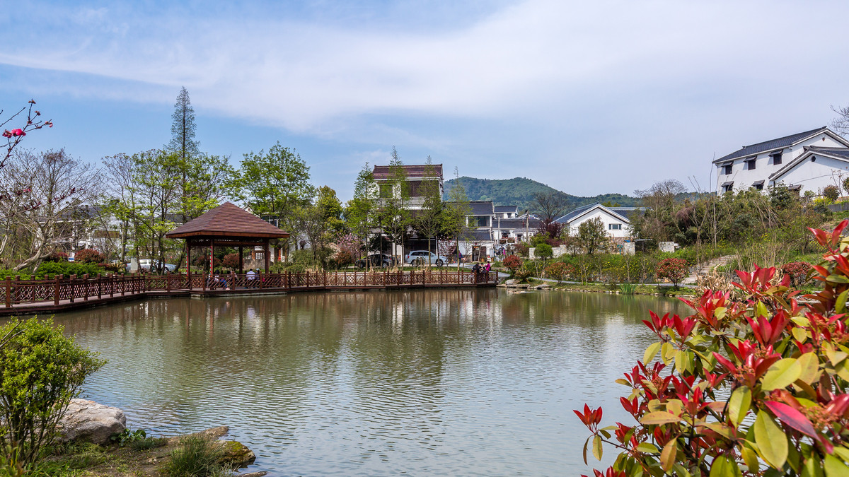 美丽乡村石塘竹海石塘村