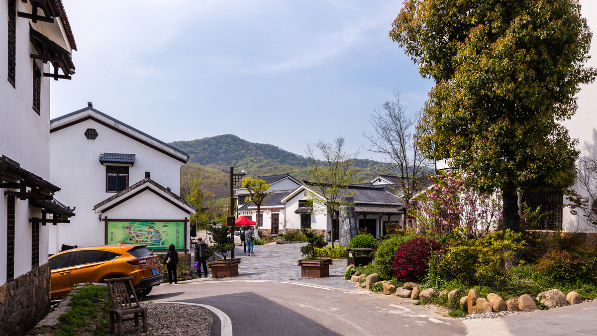 美丽乡村石塘竹海—石塘村