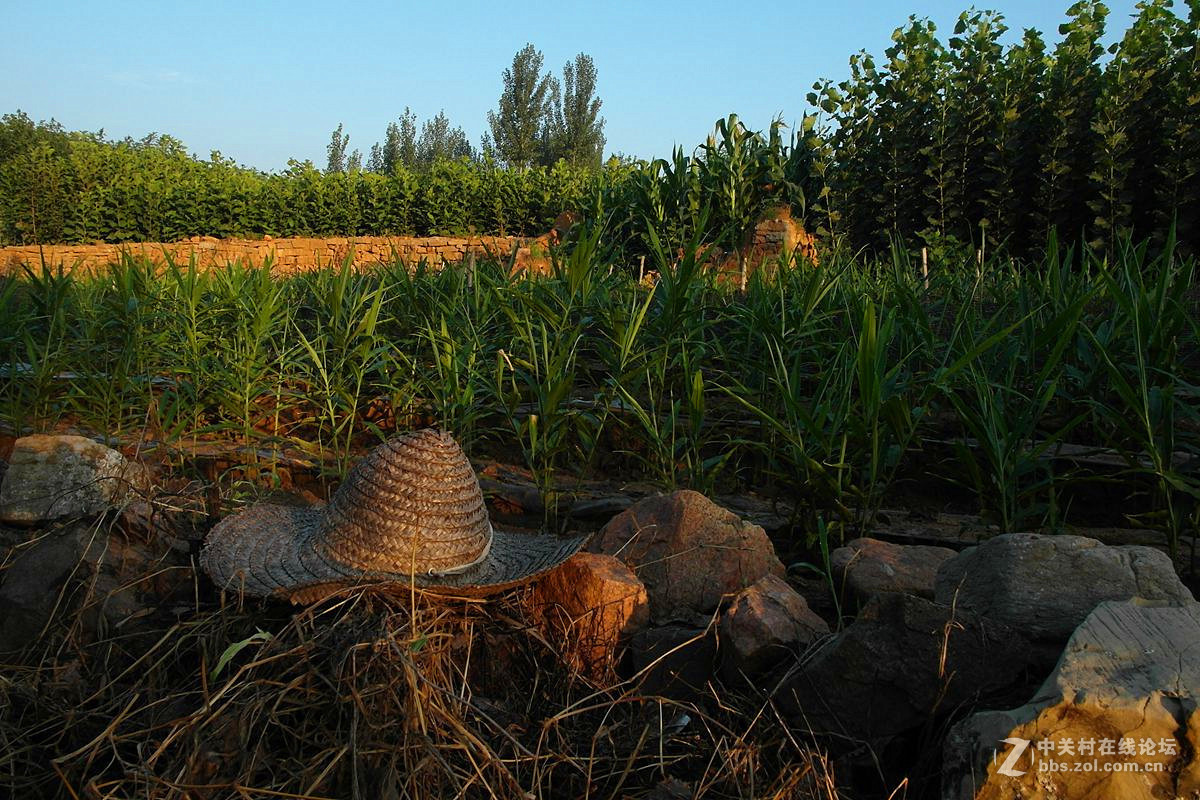 #版主坐堂#2015年8月份《承德》优秀作品选辑