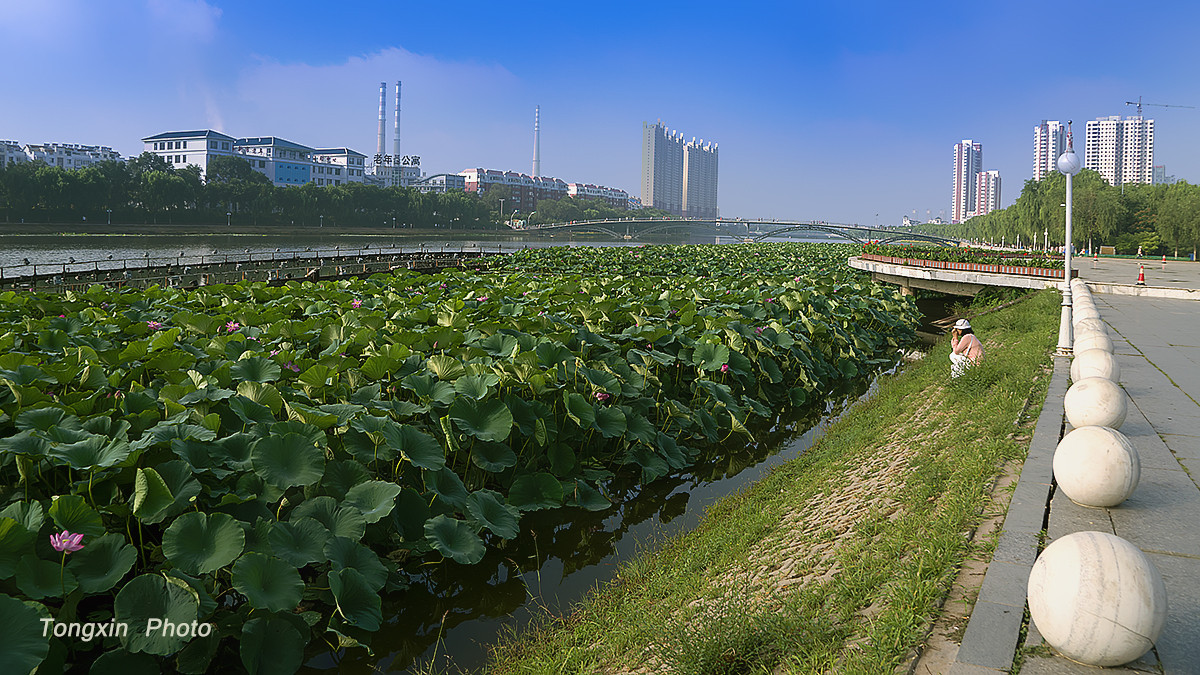 #版主坐堂#2015年8月份《承德》优秀作品选辑
