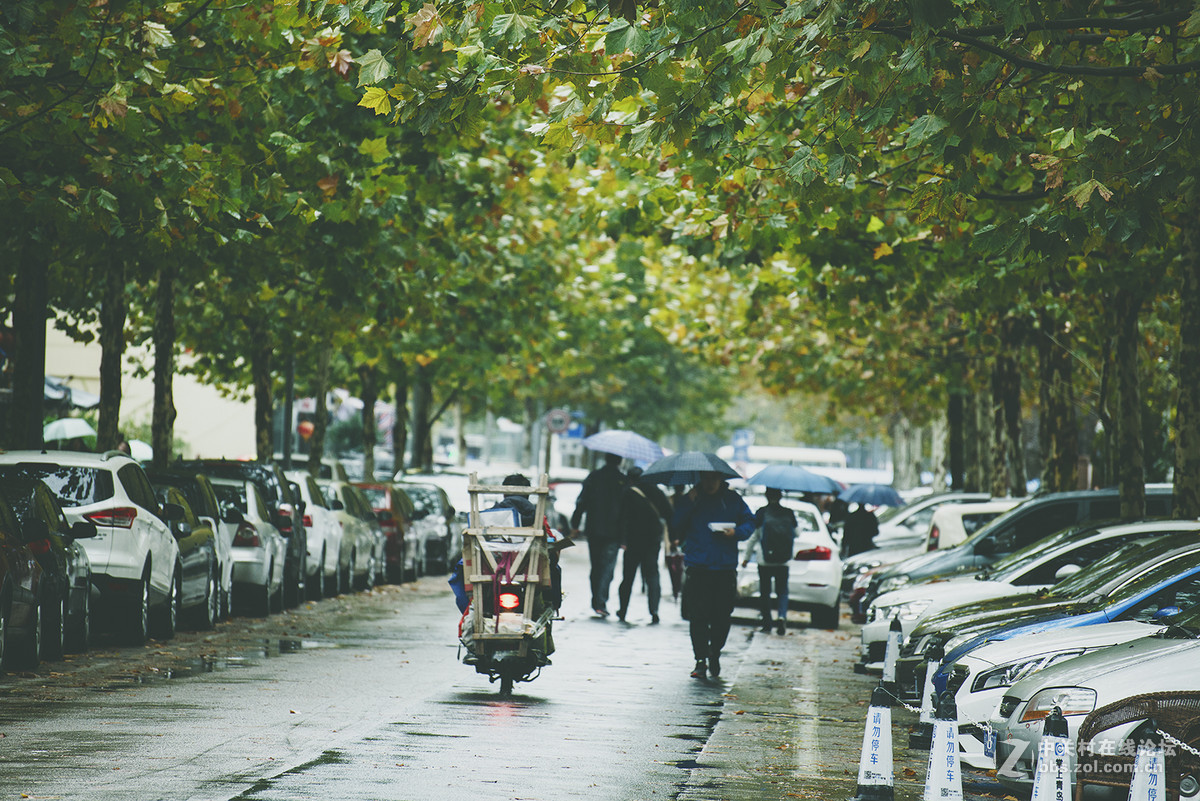 小雨----小街----小景
