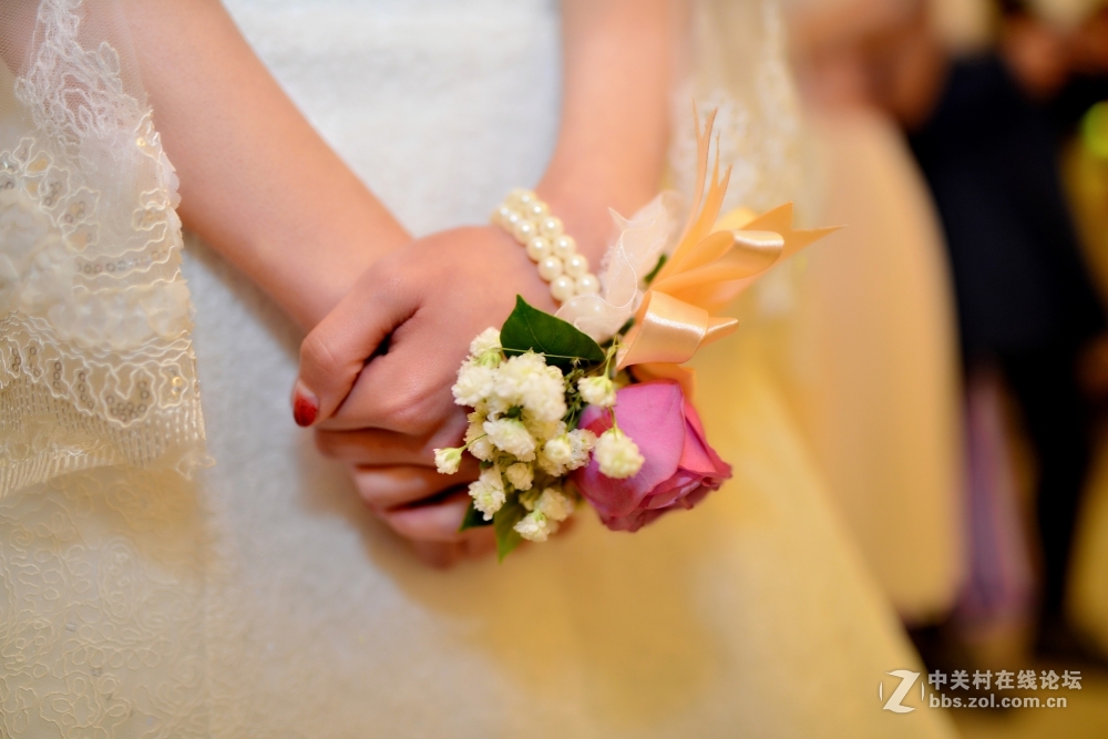 【美丽的新娘】