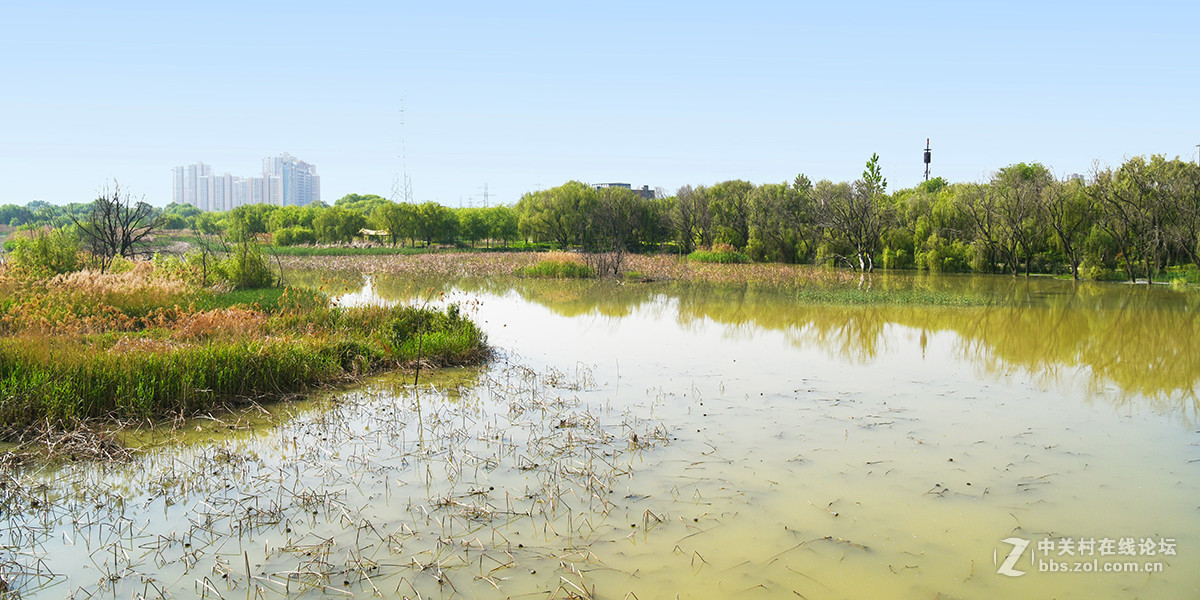 【2017】052---灞河春景