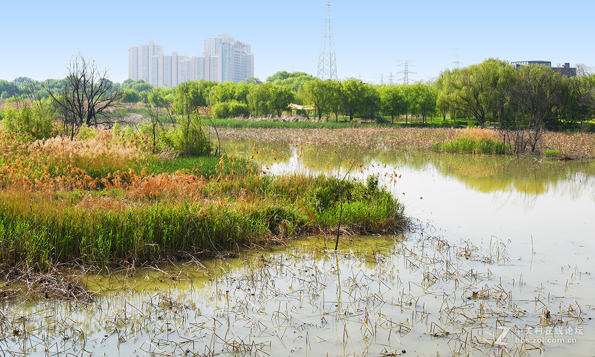 【2017】052---灞河春景