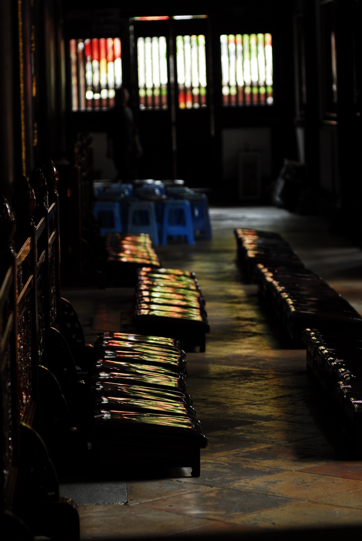 广州  光孝寺  中山纪念堂   华南植物园
