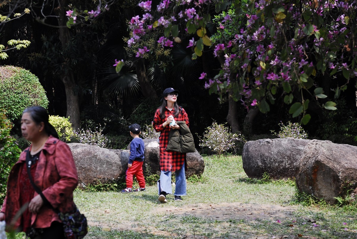 广州  光孝寺  中山纪念堂   华南植物园