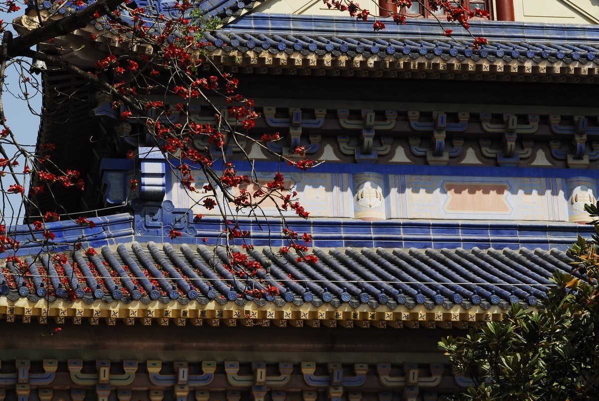 广州  光孝寺  中山纪念堂   华南植物园