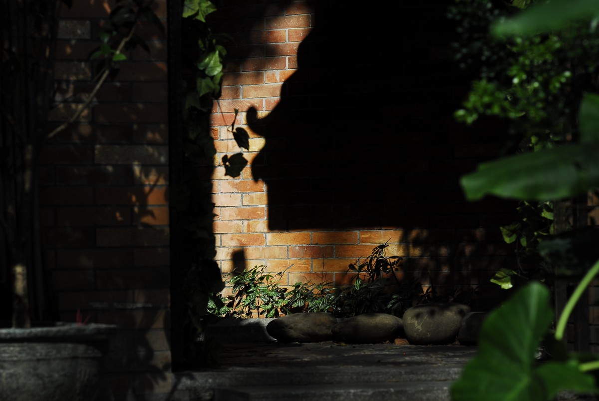 广州  光孝寺  中山纪念堂   华南植物园