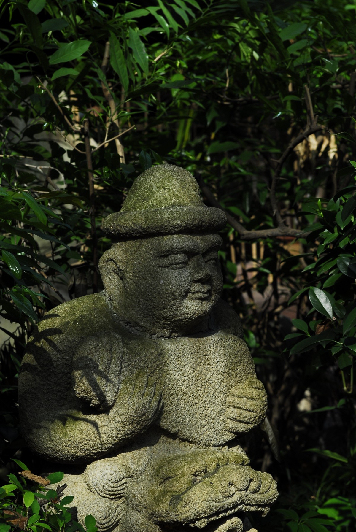广州  光孝寺  中山纪念堂   华南植物园