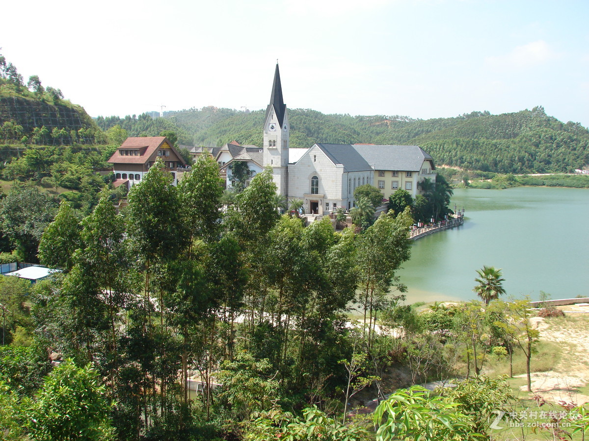 把旧相机拿出来晒太阳