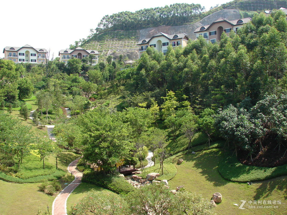 把旧相机拿出来晒太阳