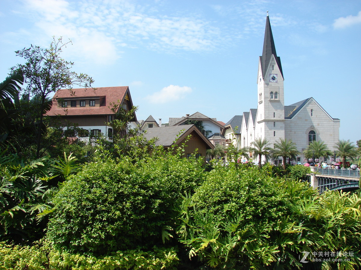 把旧相机拿出来晒太阳