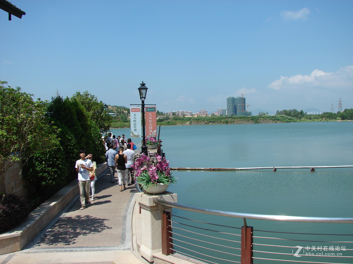 把旧相机拿出来晒太阳