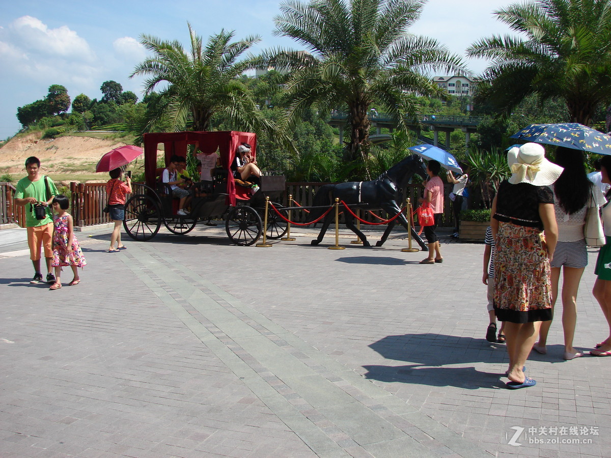 把旧相机拿出来晒太阳