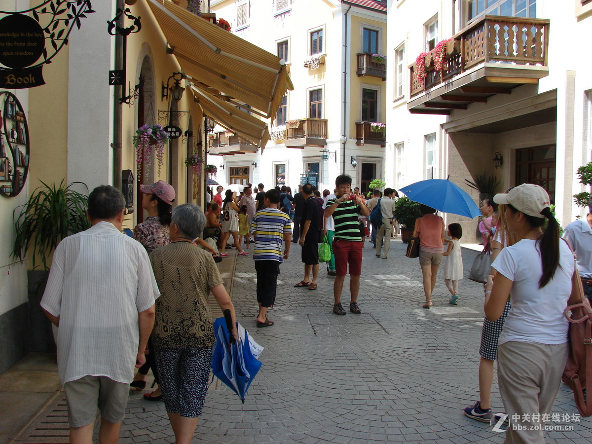 把旧相机拿出来晒太阳