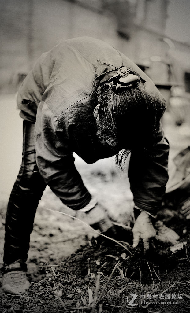 刨洋姜的老人-黑白片