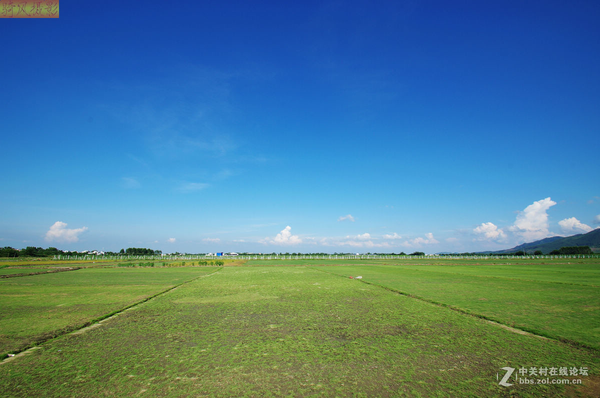 夏至的大地田野和天空