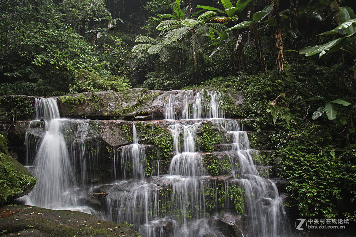 中国侏罗纪公园——赤水桫椤国家级自然保护区