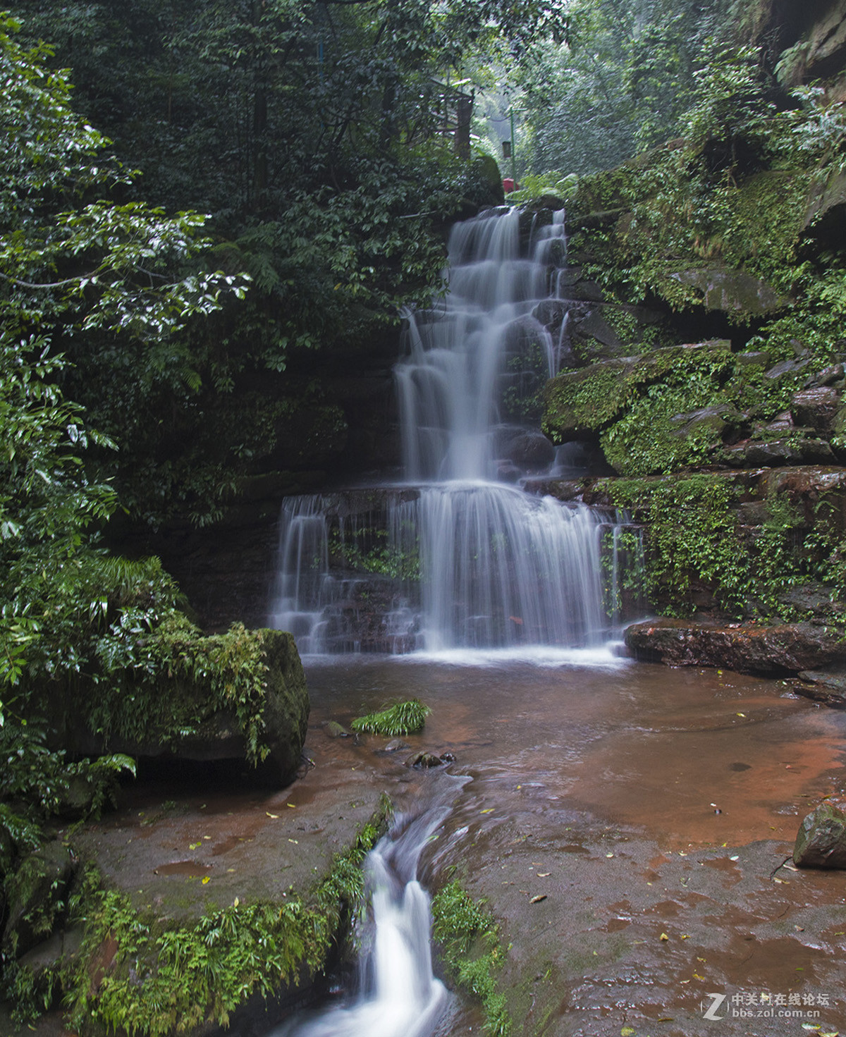 中国侏罗纪公园——赤水桫椤国家级自然保护区