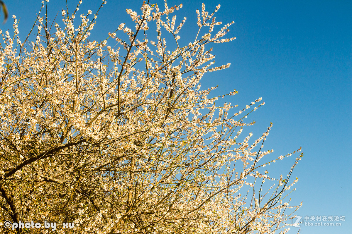 从化高山“呀婆六村”，祝大家新年快乐