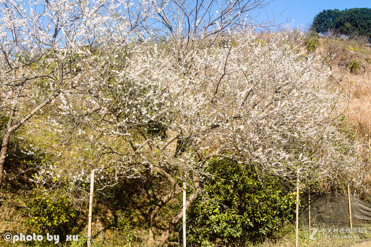 从化高山“呀婆六村”，祝大家新年快乐