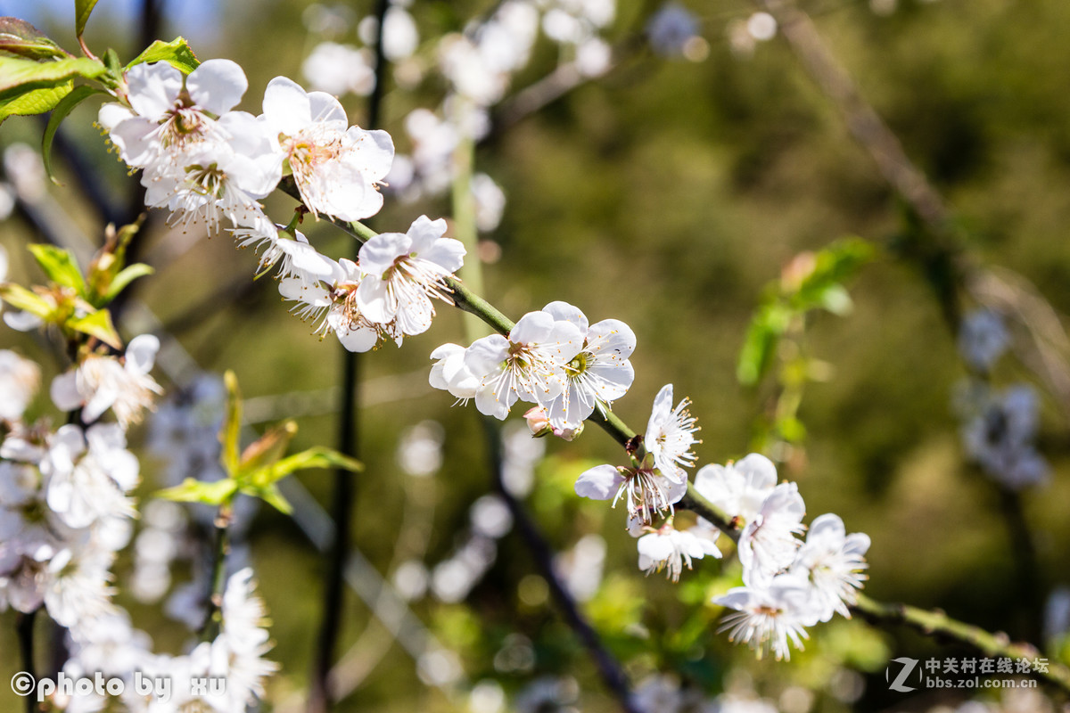 从化高山“呀婆六村”，祝大家新年快乐
