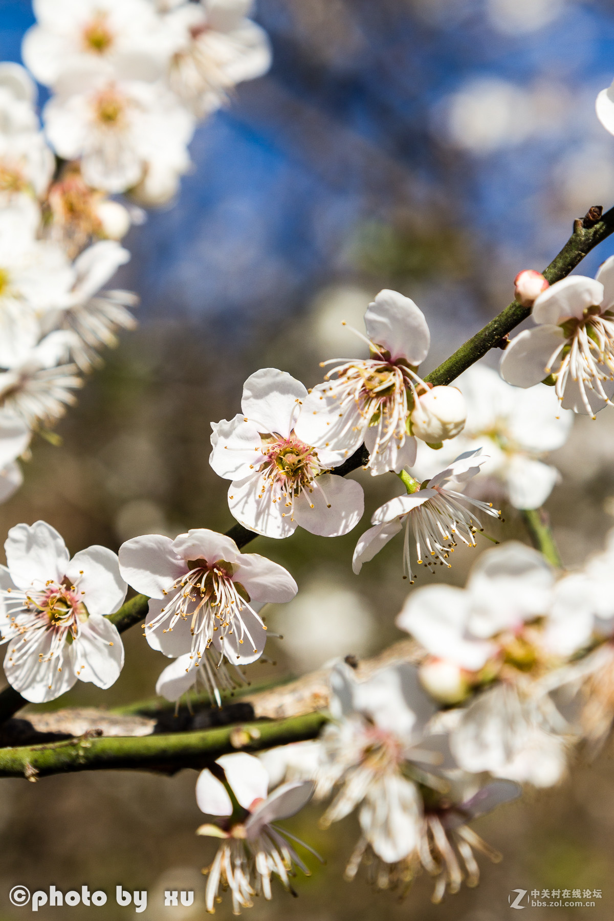 从化高山“呀婆六村”，祝大家新年快乐
