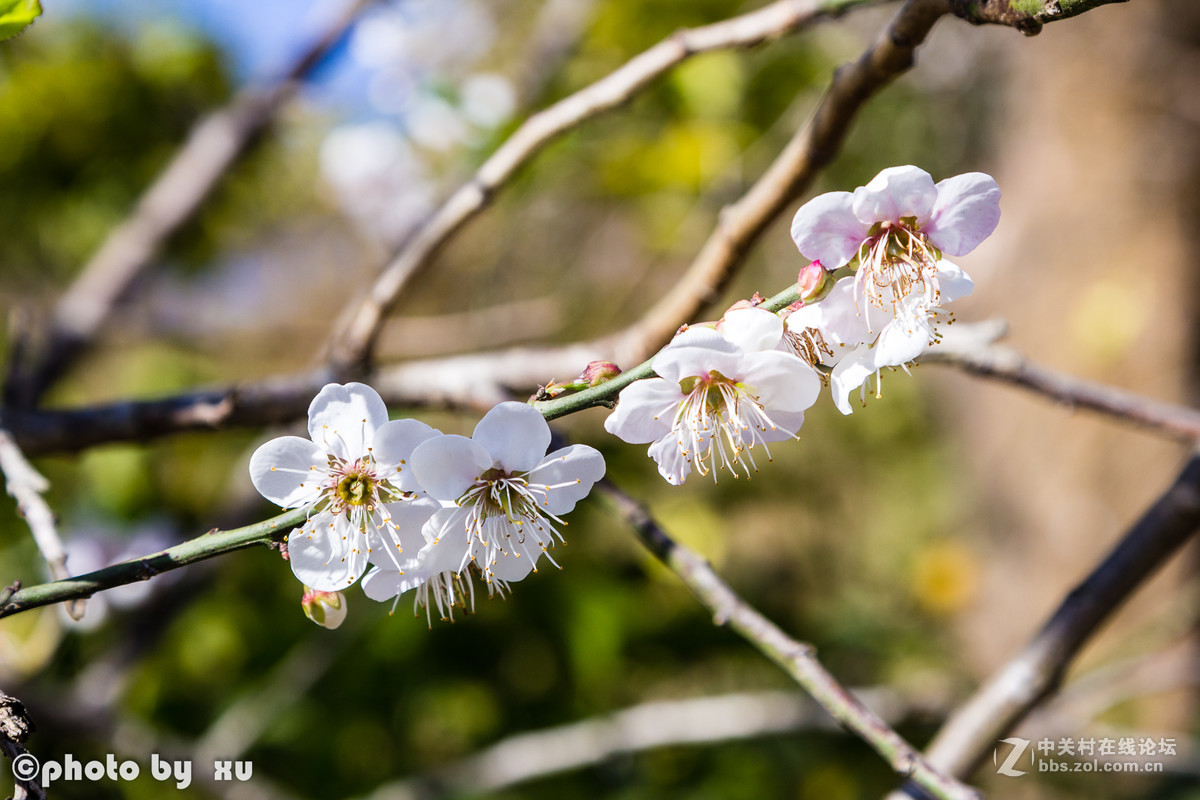 从化高山“呀婆六村”，祝大家新年快乐